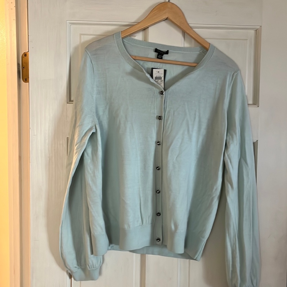 LT green Ann Taylor sweater w crystal buttons w/underlying T shirt w/chiffon